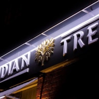 Indian Tree